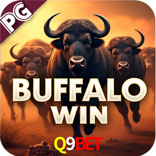 Football Betting Q9Bet