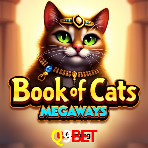 Bonus Features Q9Bet